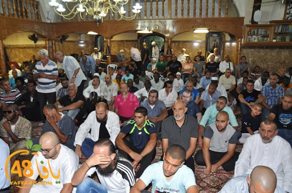 3ed ad7a ma7modiya (79).JPG